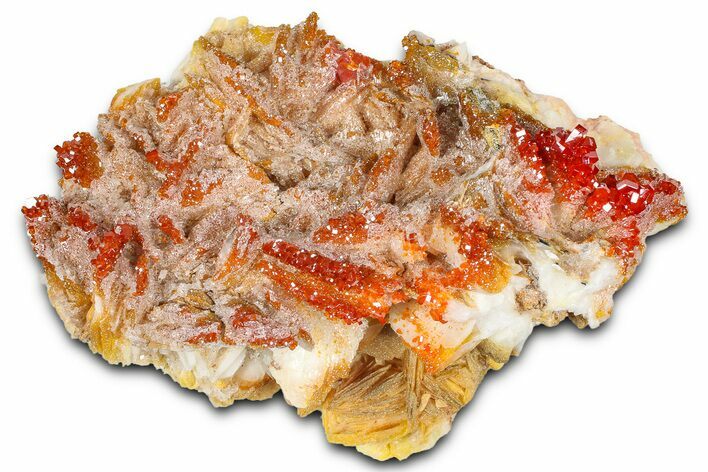 Glittering Ruby Red Vanadinite Crystals on Barite - Morocco #365777